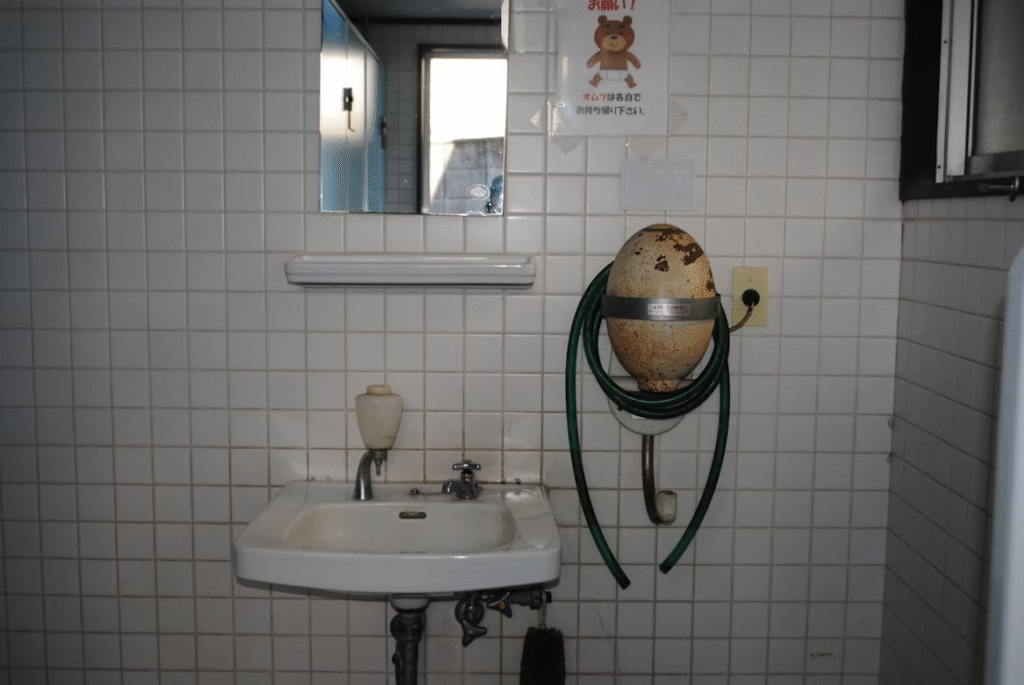 Top 5 pommeaux de douche économiseurs d’eau en 2025