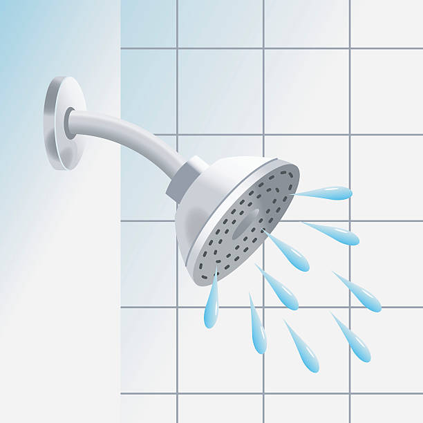 Quel est le pommeau de douche le plus économique en eau