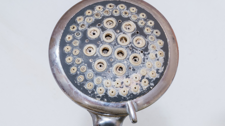 Quel est le meilleur pommeau de douche anti-calcaire ? (Synthèse UFC-Que Choisir & 60 Millions)