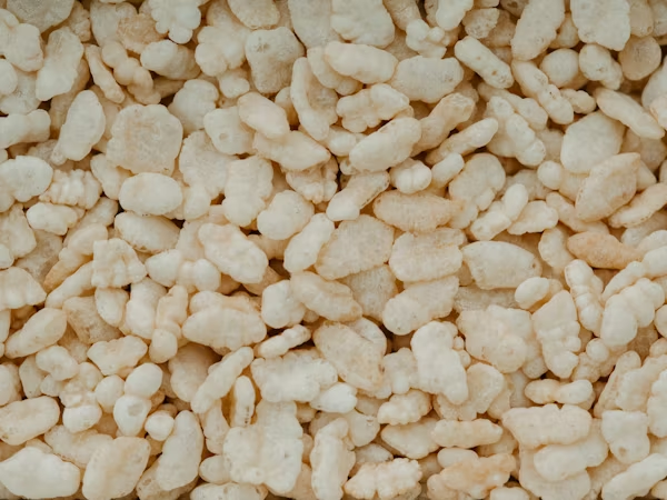 Les Meilleurs Produits Anti-Calcaire pour Douche en 2026