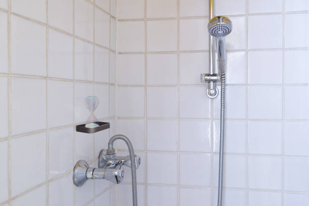 Pommeau de Douche Économique Leroy Merlin : Ce qu'ils Proposent et Nos Meilleures Alternatives