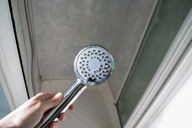 Pommeau de Douche Économique Leroy Merlin : Ce qu'ils Proposent et Nos Meilleures Alternatives