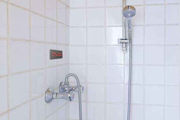 Pommeau de Douche Économique Leroy Merlin : Ce qu'ils Proposent et Nos Meilleures Alternatives