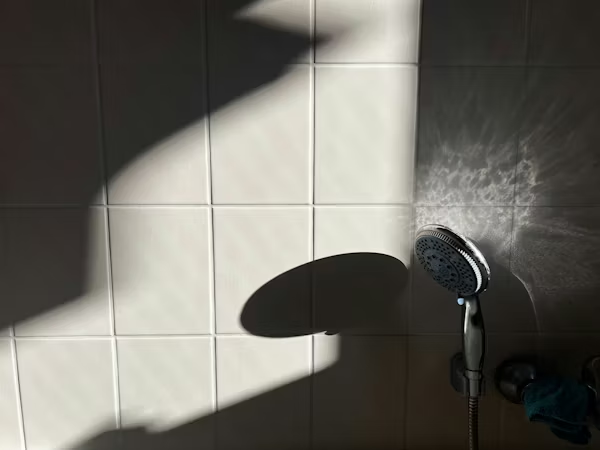 Pommeau de douche filtrant Seoni : notre avis honnête (calcaire, cheveux, peau)