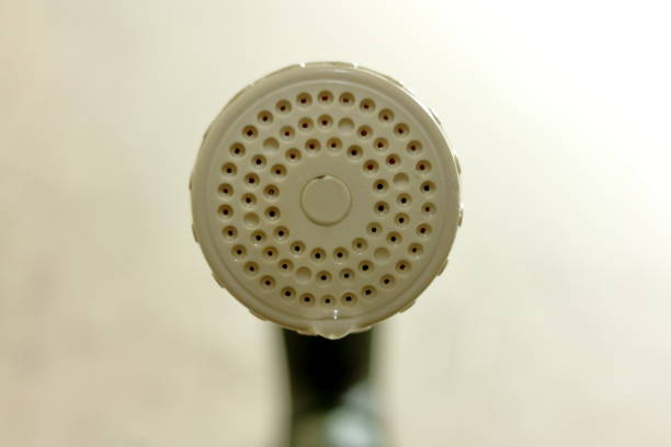 Pommeau de douche filtrant