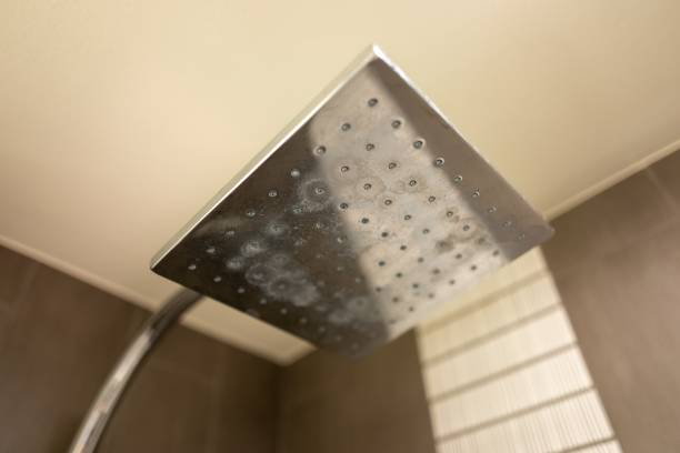 Meilleur pommeau de douche effet pluie : guide honnête 2026