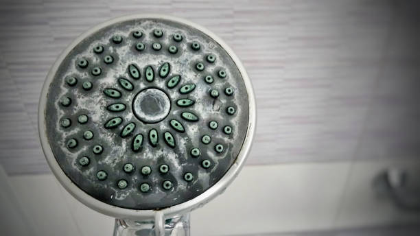 Comment réduire le calcaire du pommeau de douche
