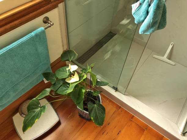 Tapis de douche d'angle : le guide pour les douches en coin