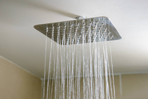 6 meilleurs spécialistes du pommeau de douche en France