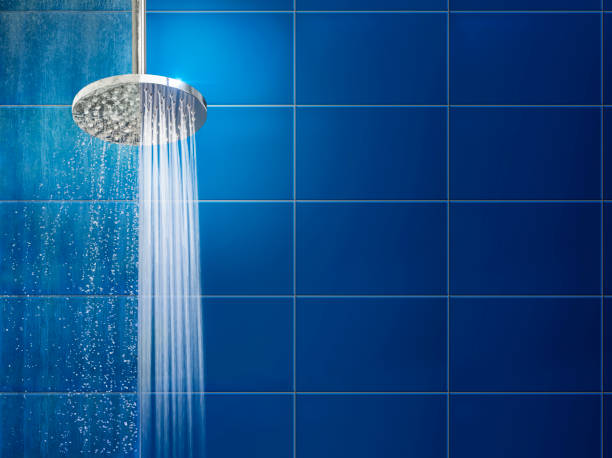 Comparatif : les 6 meilleurs spécialistes du pommeau de douche en France
