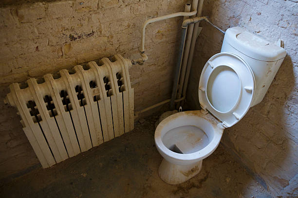 Enlever le tartre WC même très incrusté