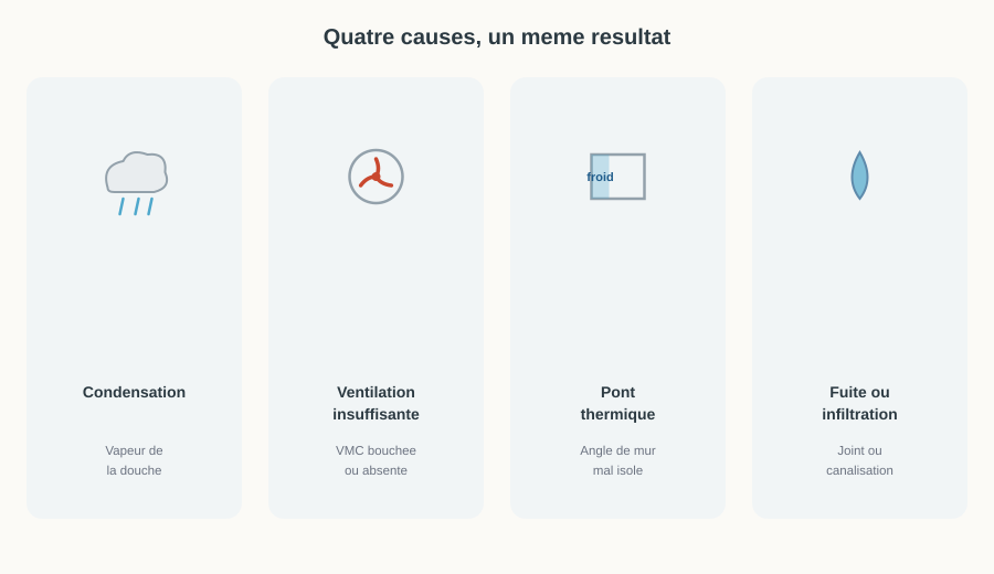 Les quatre causes de la moisissure en salle de bain : condensation, ventilation insuffisante, pont thermique, fuite ou infiltration