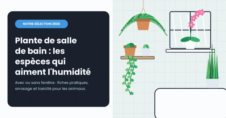 Plante de salle de bain : notre sélection des espèces qui résistent à l'humidité