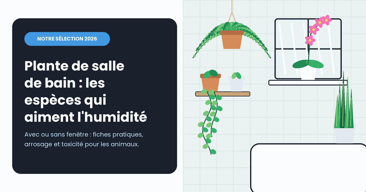 Plante de salle de bain : notre sélection des espèces qui résistent à l'humidité