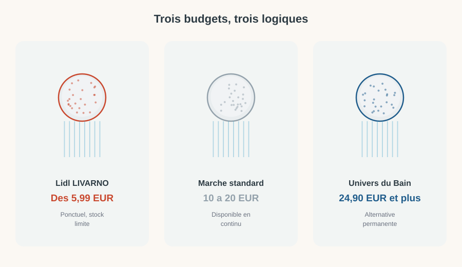 Comparaison de budget entre Lidl LIVARNO à partir de 5,99€, le marché standard à 10-20€, et Univers du Bain à partir de 24,90€