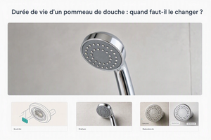 Durée de vie d'un pommeau de douche : quand faut-il le changer ?