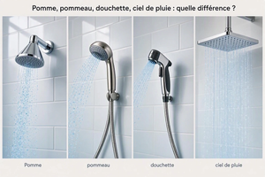Pomme, pommeau, douchette, ciel de pluie : quelle différence ?