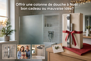 Offrir une colonne de douche à Noël : bon cadeau ou mauvaise idée?