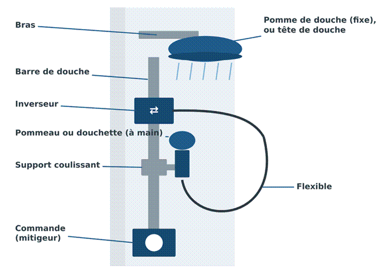Différence pomme et pommeau de douche